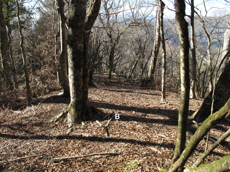 20190121hike (157)